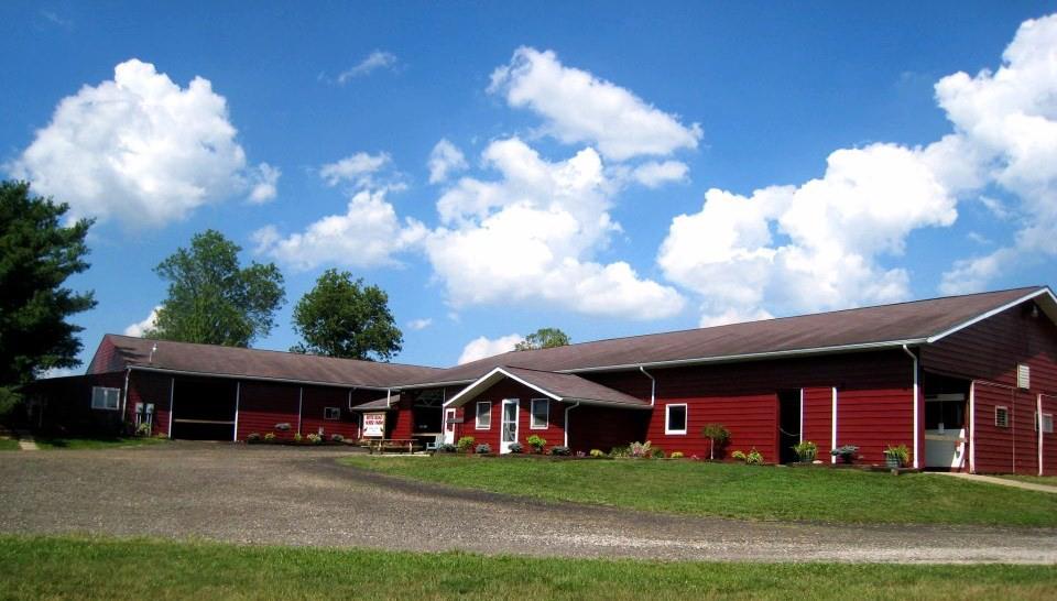 531086_453049998086324_1146113720_n river road horse farm hinckley, OH riding lessons
