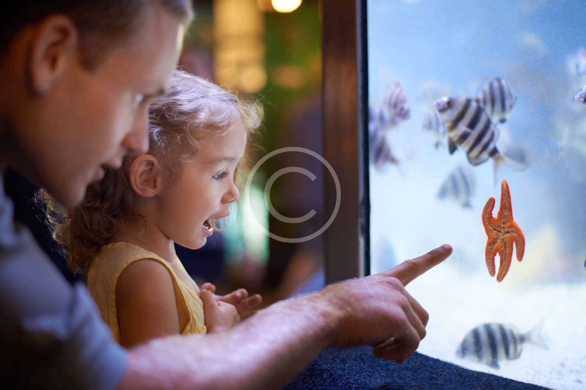 Aquarium Supply River Road Horse Farm Plus