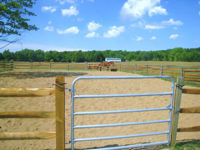 river road horse farm hinckley, OH riding lessons