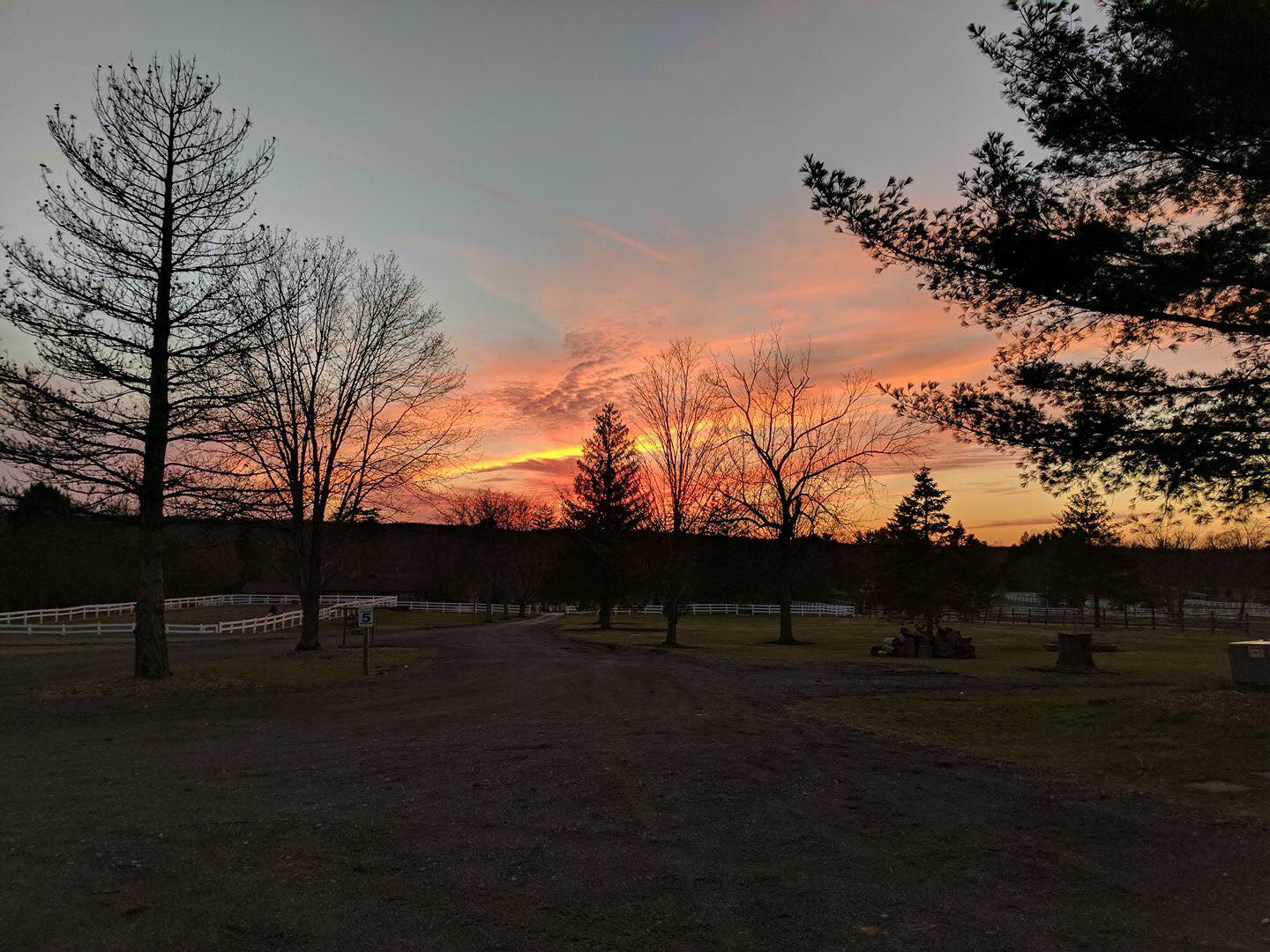Our Gallery River Road Horse Farm Plus