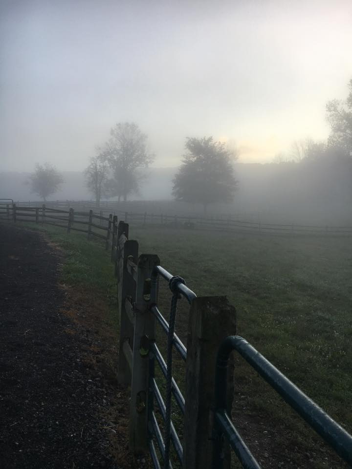 river road horse farm hinckley, OH horse back riding lessons