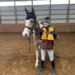 river road horse farm hinckley, OH horse back riding lessons