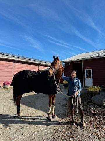 river road horse farm hinckley, OH horse back riding lessons